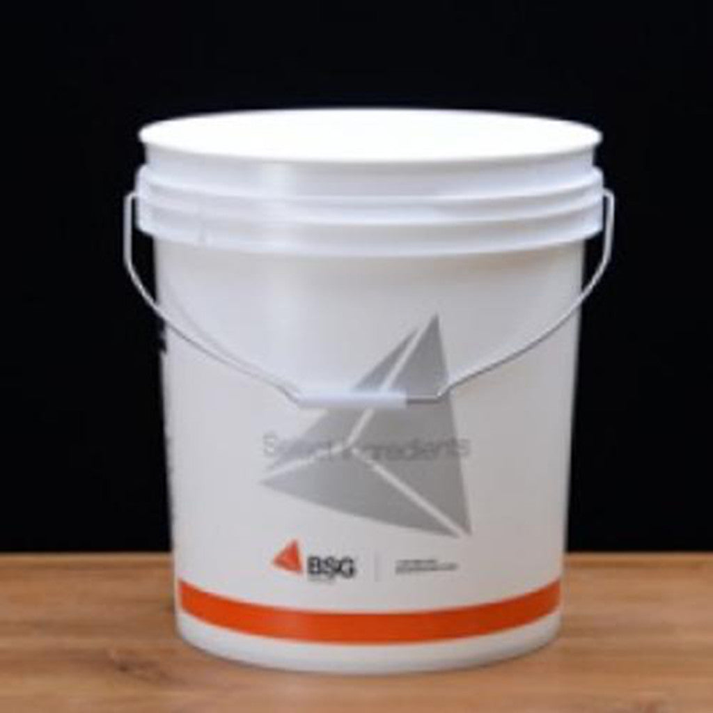Fermenting Bucket Lid For Plastic 2 Gallon Bucket | NY Brew Supply